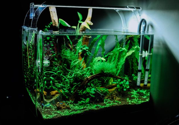 Умный аквариум Xiaomi Geometry Fish Tank C180