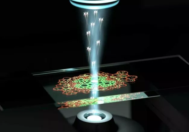 ЮУрГУ создают квантовый инфракрасный микроскоп Он первый в своем роде