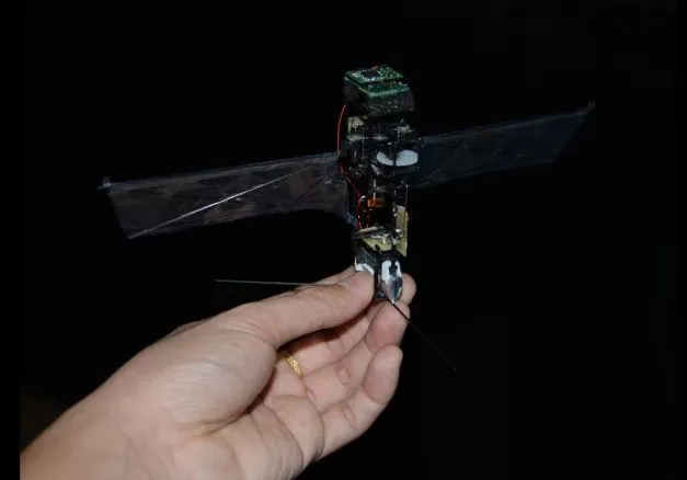 Китайские инженеры сделали четырехкрылого робожука Он умеет летать и бегать