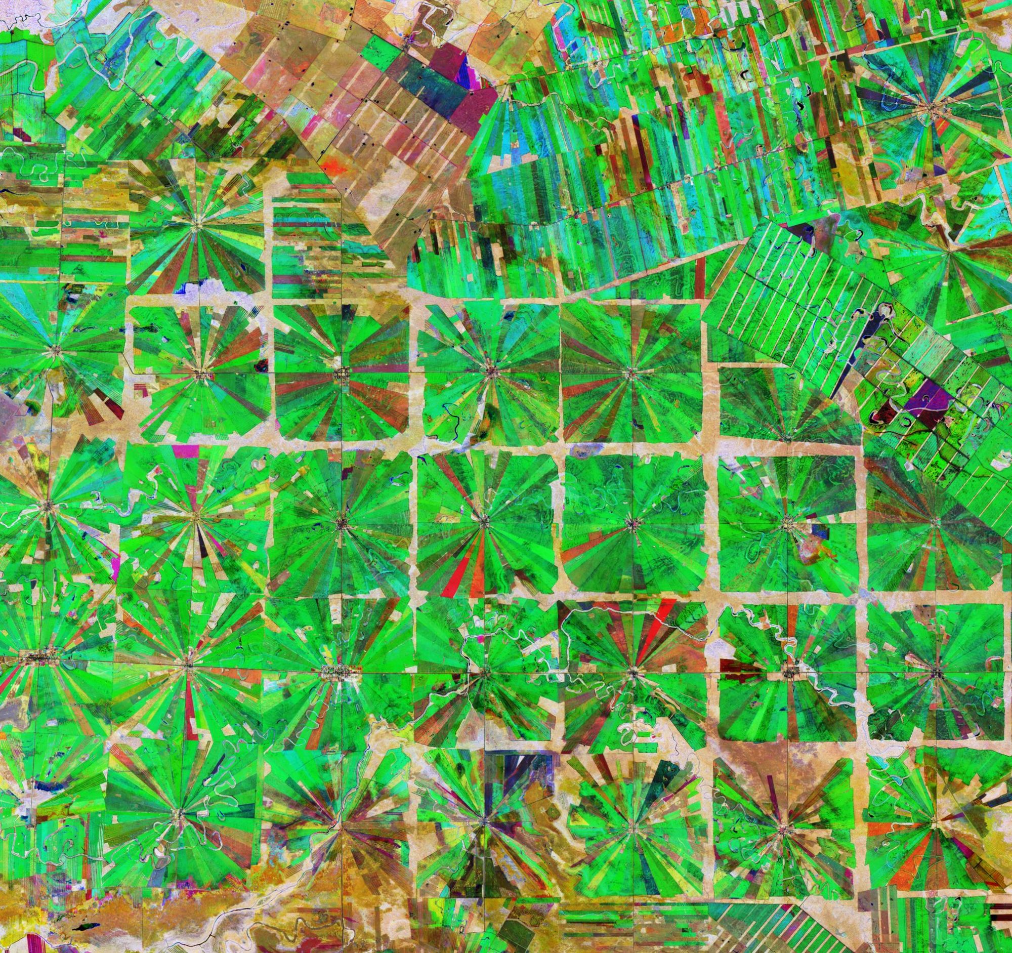 Фермерские поля возле Санта-Круз, Боливия. Спутниковый снимок, раскрашенный в соответствии с вегетационным индексом растительности
