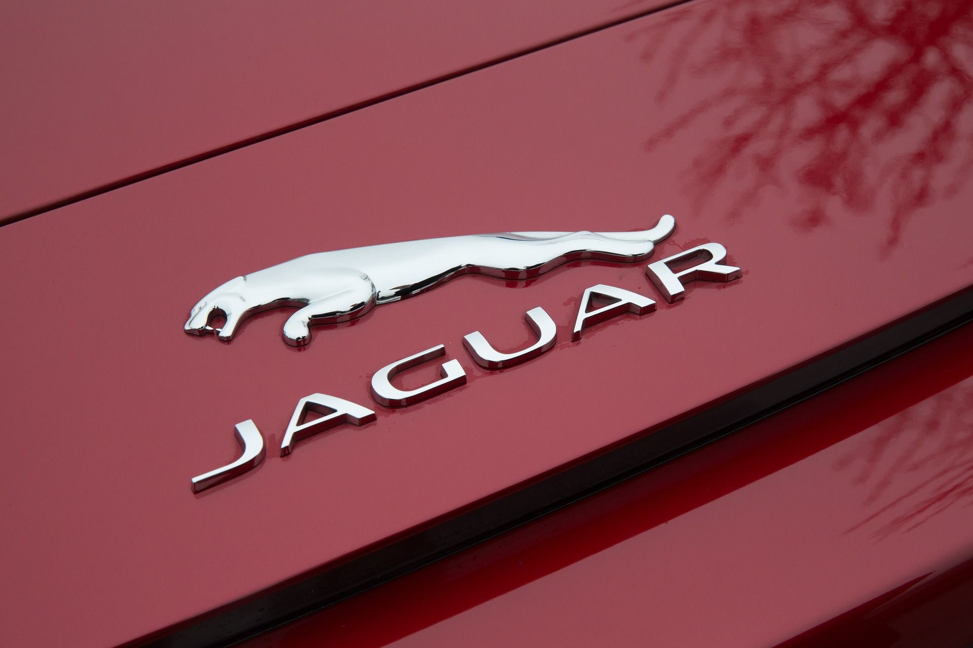 <i>Jaguar </i><i>Land </i><i>Rover </i>внедряет блокчейн для отслеживания поставок кожи