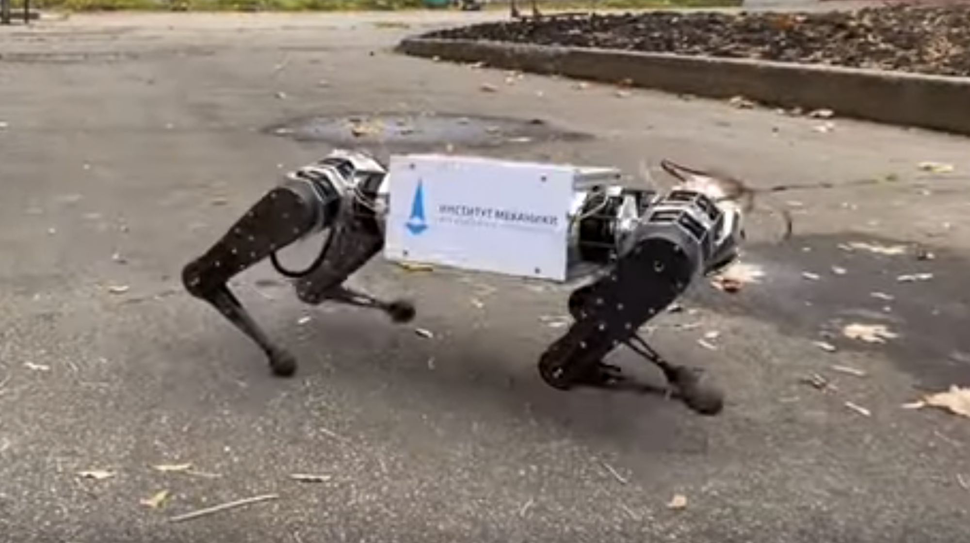 У робота <i>Spot </i>компании <i>Boston </i><i>Dynamics </i>появился собрат