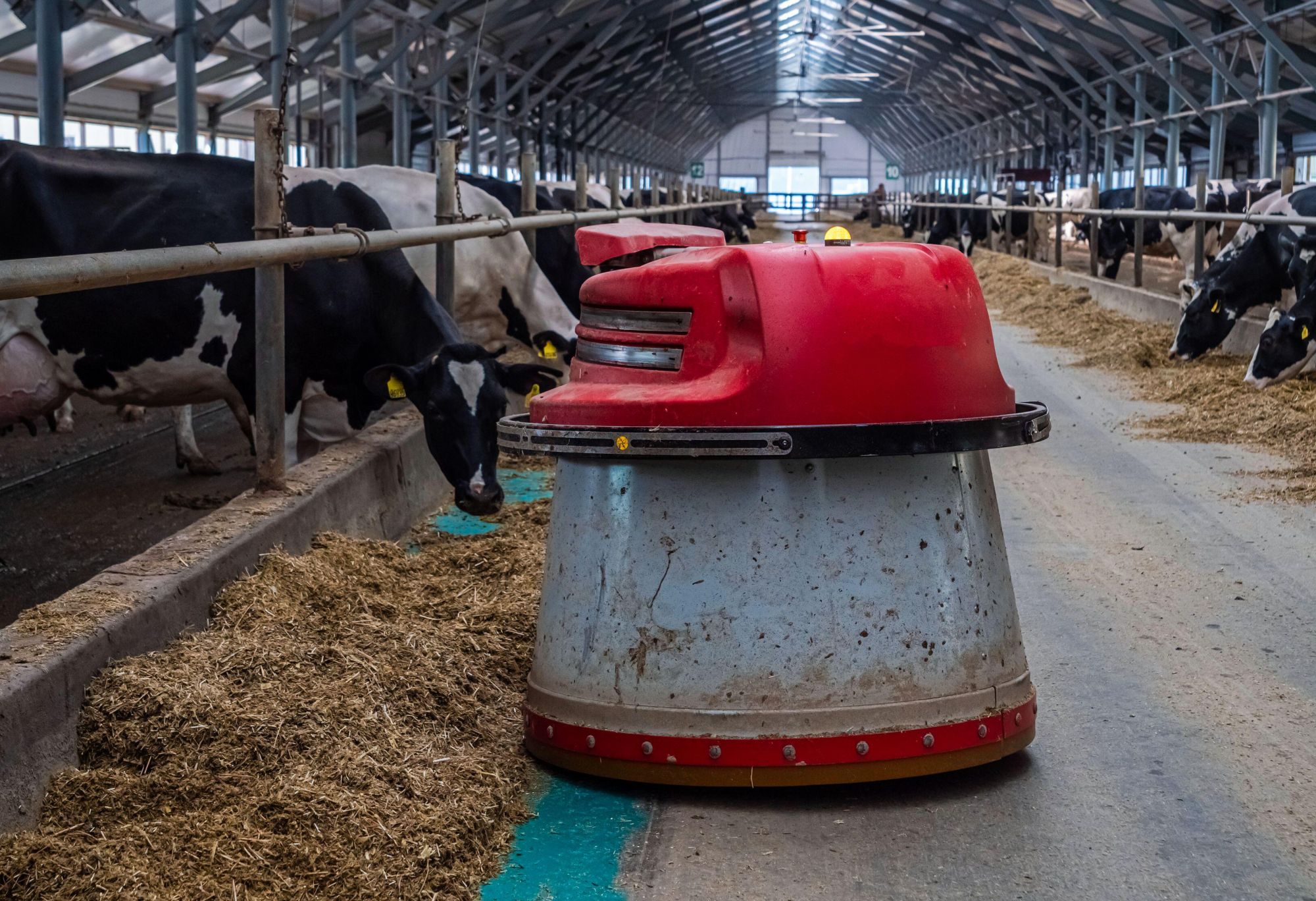 Робот для кормления животных на ферме