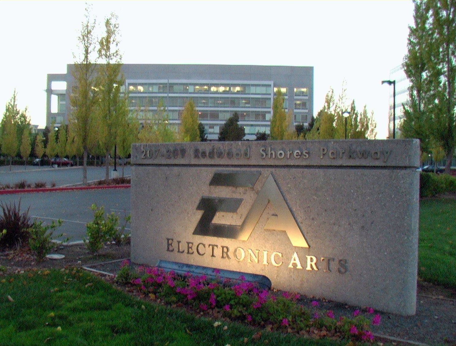 28 мая 1982 года была основана корпорация <i>Electronic </i><i>Arts</i>