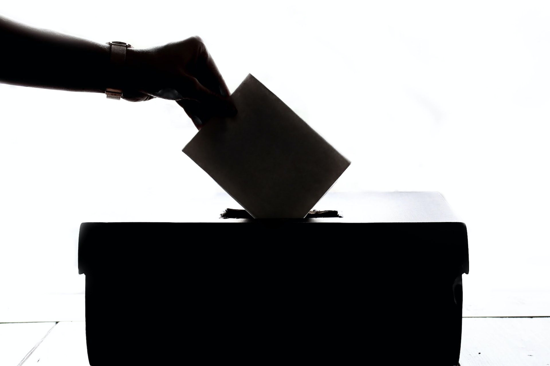 Чат-бот впервые примет участие в парламентских выборах