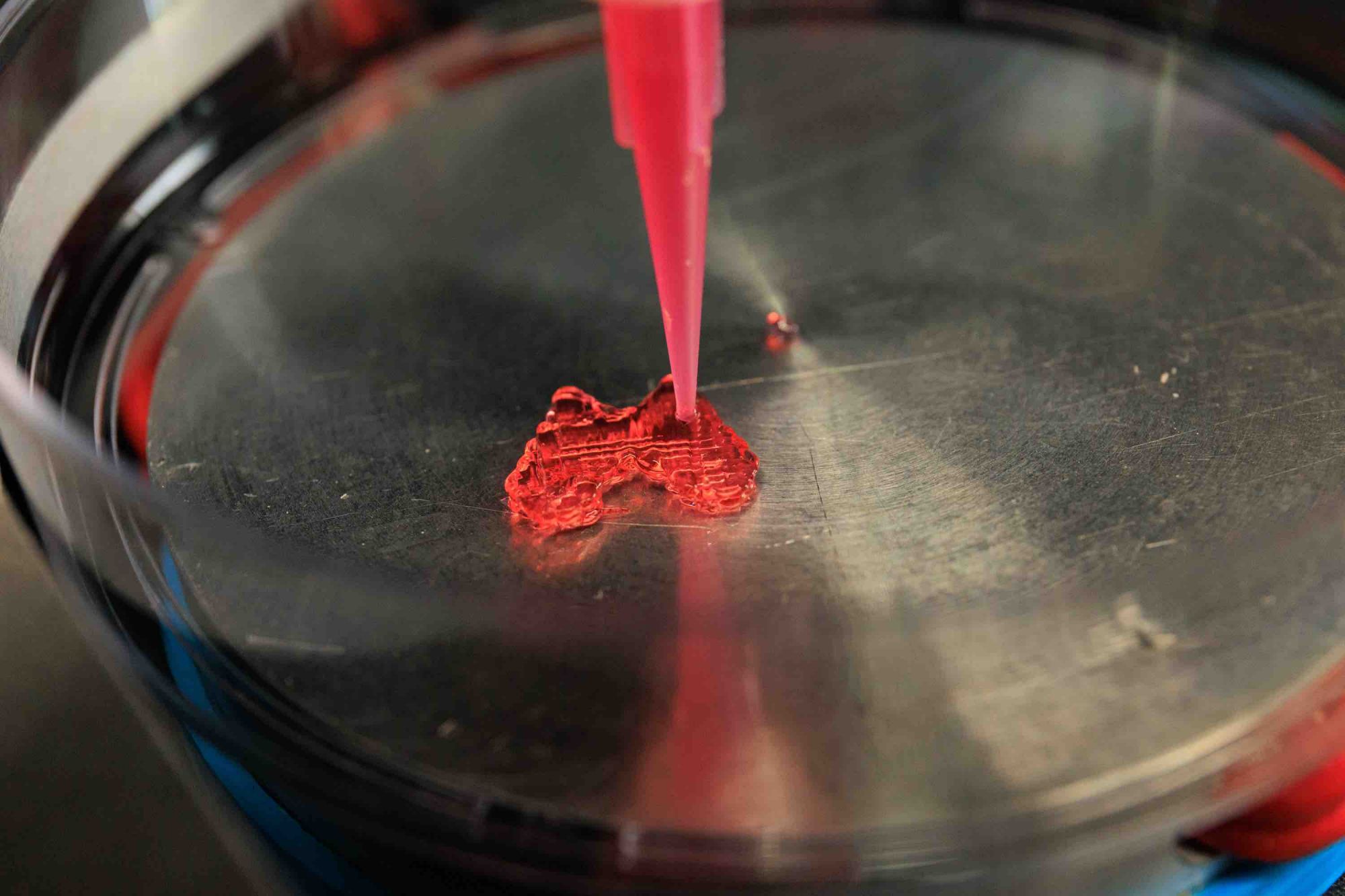 Для отработки технологий биопечати используется гель с той же вязкостью, что и взвесь клеток