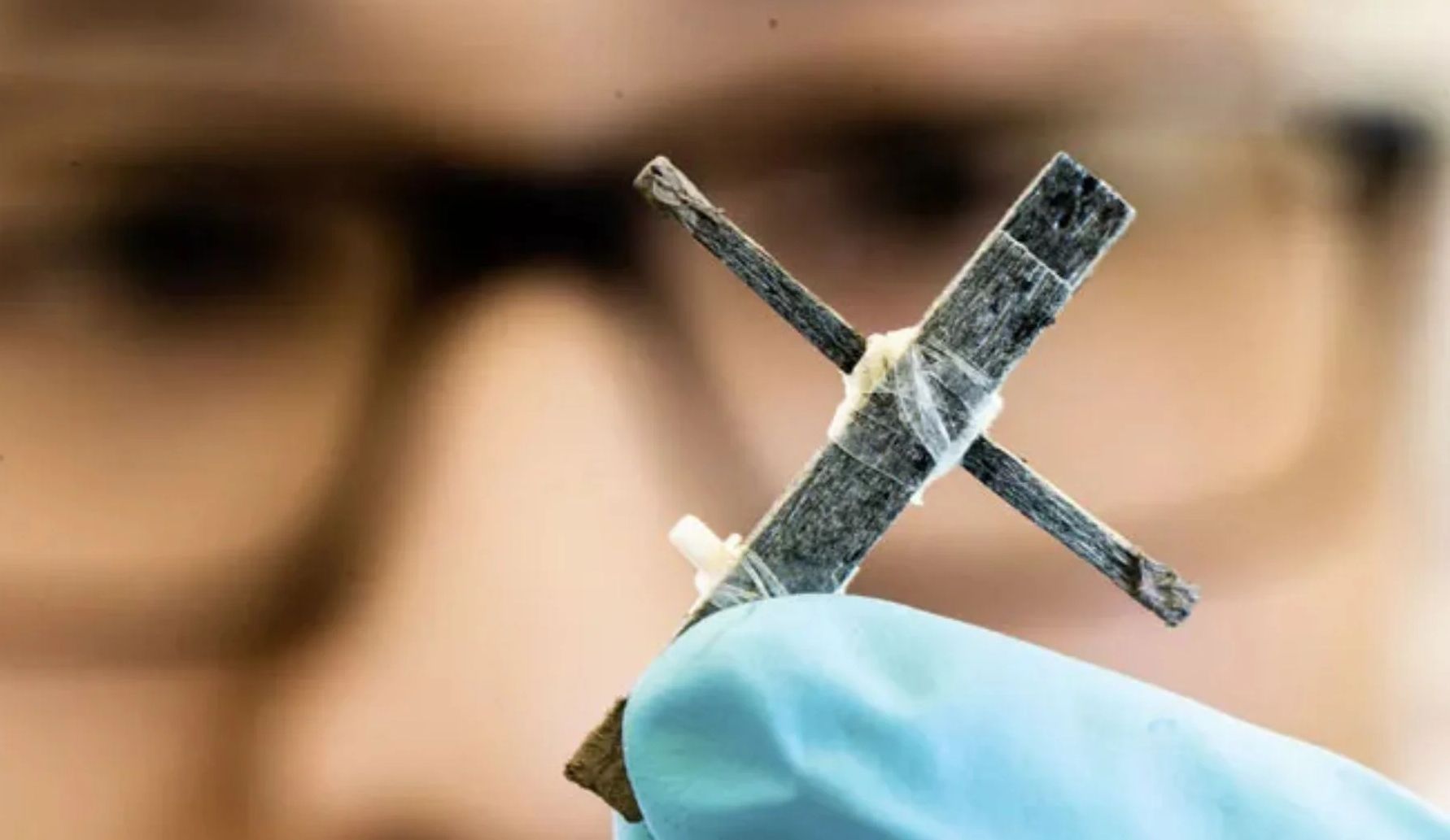 Разработан первый в мире деревянный транзистор