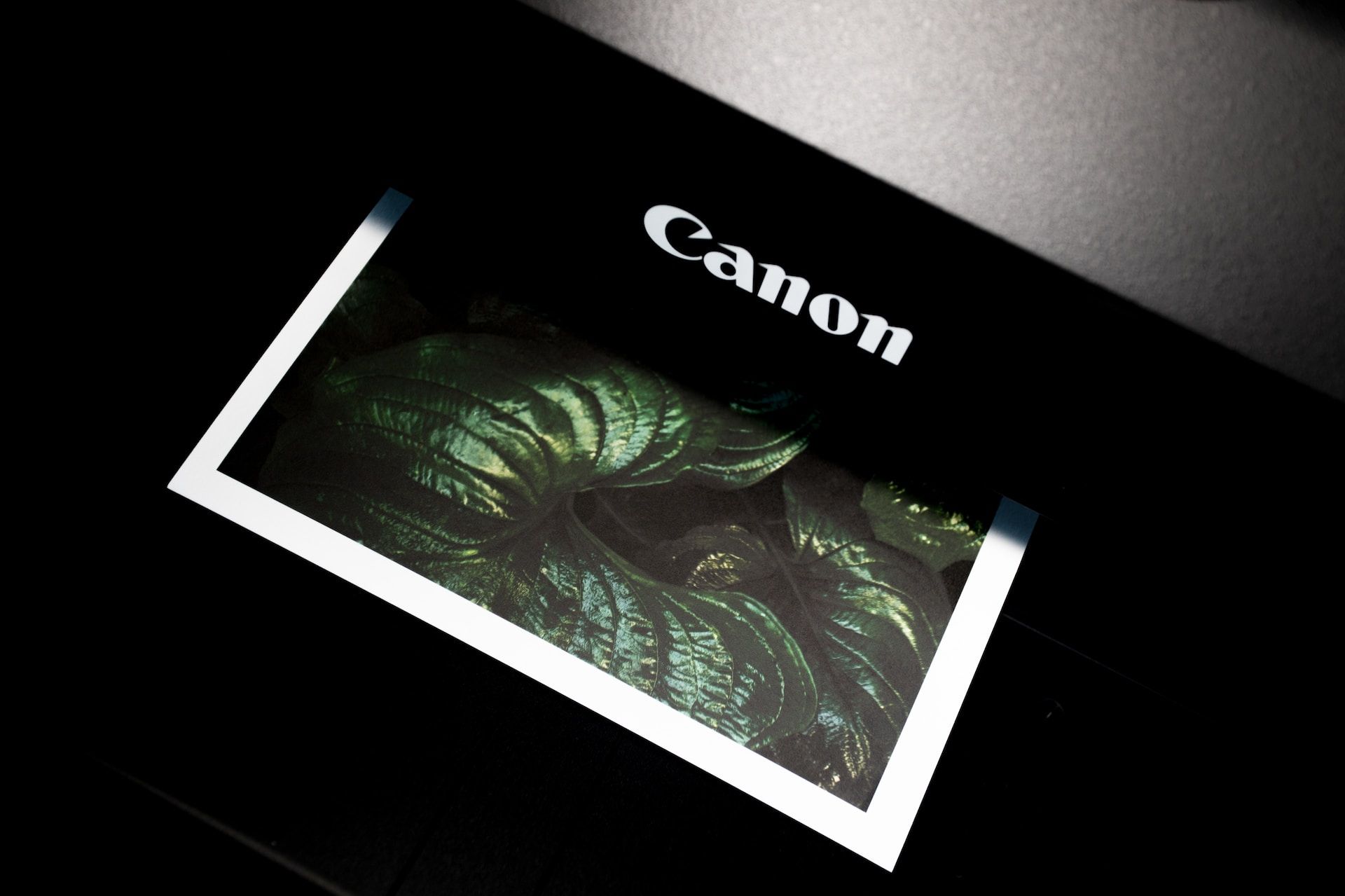 <i>Canon </i>предупредил об уязвимости принтеров