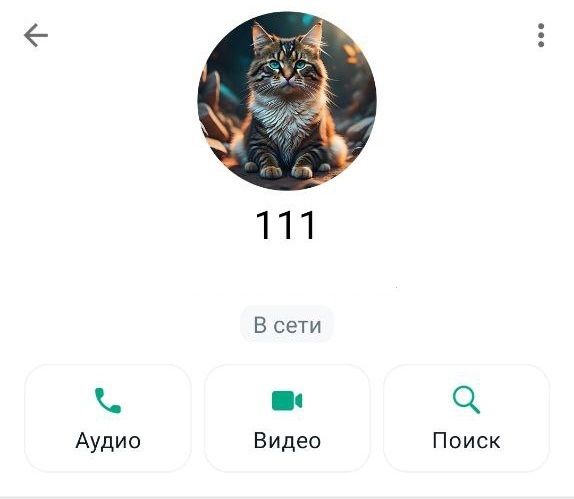 Не доходят сообщения в Whatsapp — объясним причины