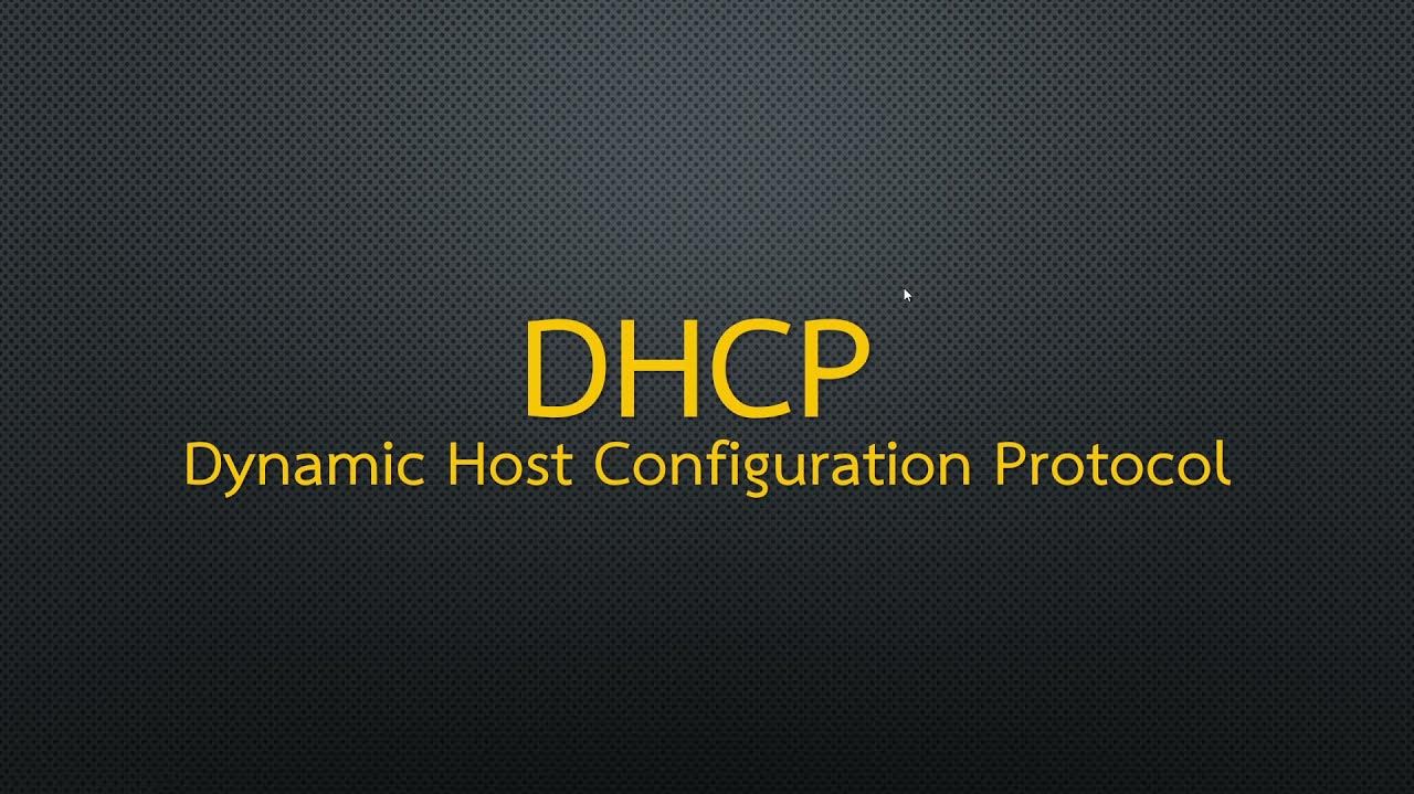 DHCP (Dynamic Host Configuration Protocol)